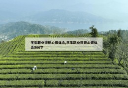 学生职业道德心得体会,学生职业道德心得体会500字