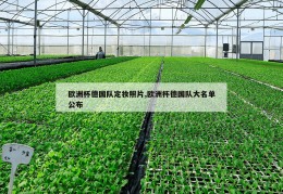 欧洲杯德国队定妆照片,欧洲杯德国队大名单公布