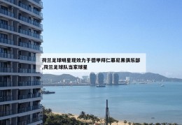 荷兰足球明星现效力于德甲拜仁慕尼黑俱乐部,荷兰足球队当家球星