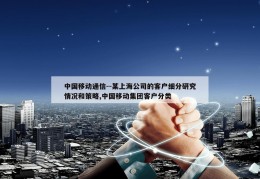 中国移动通信--某上海公司的客户细分研究情况和策略,中国移动集团客户分类