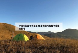 中国大型兔子养殖基地,中国最大的兔子养殖业基地