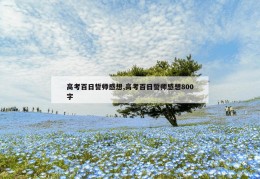 高考百日誓师感想,高考百日誓师感想800字