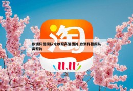 欧洲杯德国队定妆照高清图片,欧洲杯德国队员照片