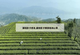 国培影子感言,国培影子跟岗培训心得