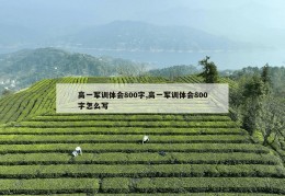 高一军训体会800字,高一军训体会800字怎么写