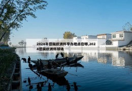 2024年德国欧洲杯举办地点在哪,2024德国欧洲杯球场