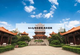 birdy鸟车感受,鸟车官网