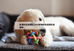 欧洲杯出线球队,2020欧洲杯出线球队有哪些