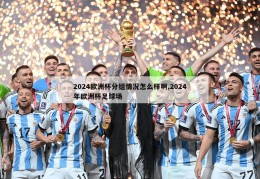 2024欧洲杯分组情况怎么样啊,2024年欧洲杯足球场