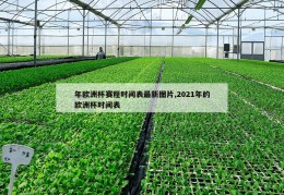 年欧洲杯赛程时间表最新图片,2021年的欧洲杯时间表