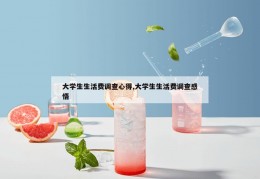 大学生生活费调查心得,大学生生活费调查感悟