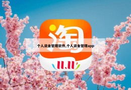 个人资金管理软件,个人资金管理app