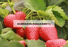 安全疲劳反思材料,劳动安全反思材料个人