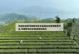 欢迎您来到河南移动社会渠道业务管理服务平台,中国移动社会渠道授权网点