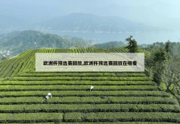 欧洲杯预选赛回放,欧洲杯预选赛回放在哪看