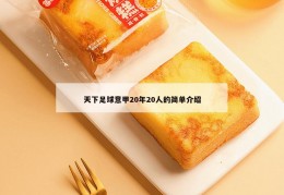 天下足球意甲20年20人的简单介绍