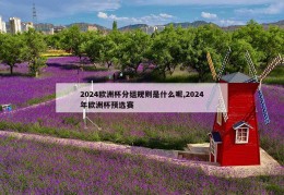 2024欧洲杯分组规则是什么呢,2024年欧洲杯预选赛