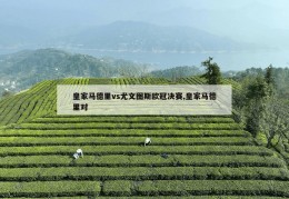 皇家马德里vs尤文图斯欧冠决赛,皇家马德里对