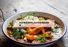 2024有欧洲杯吗,2024年欧洲杯足球场